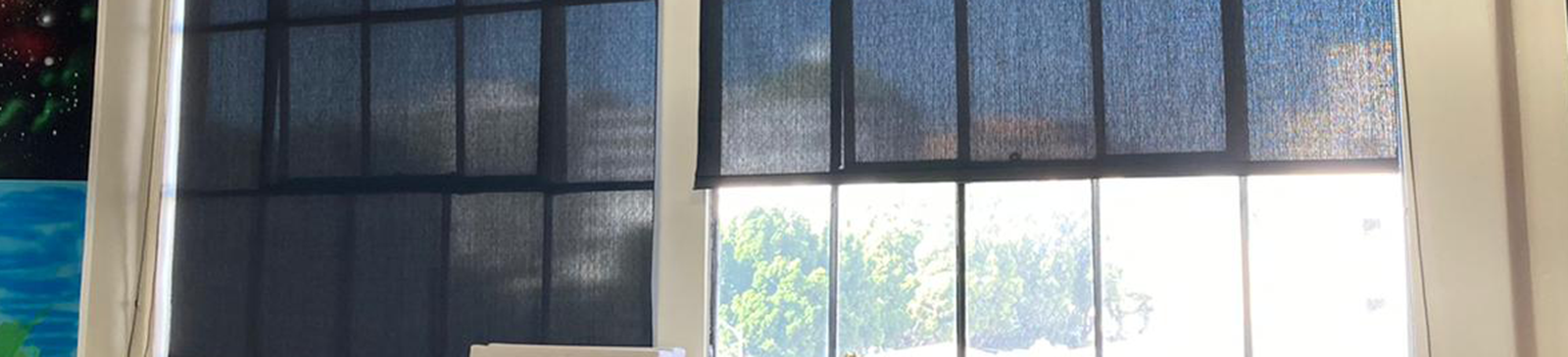 Custom Sheer Roller Shades in Newark