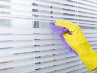 A person gently cleaning window blinds with a microfiber cloth, maintaining a spotless home environment